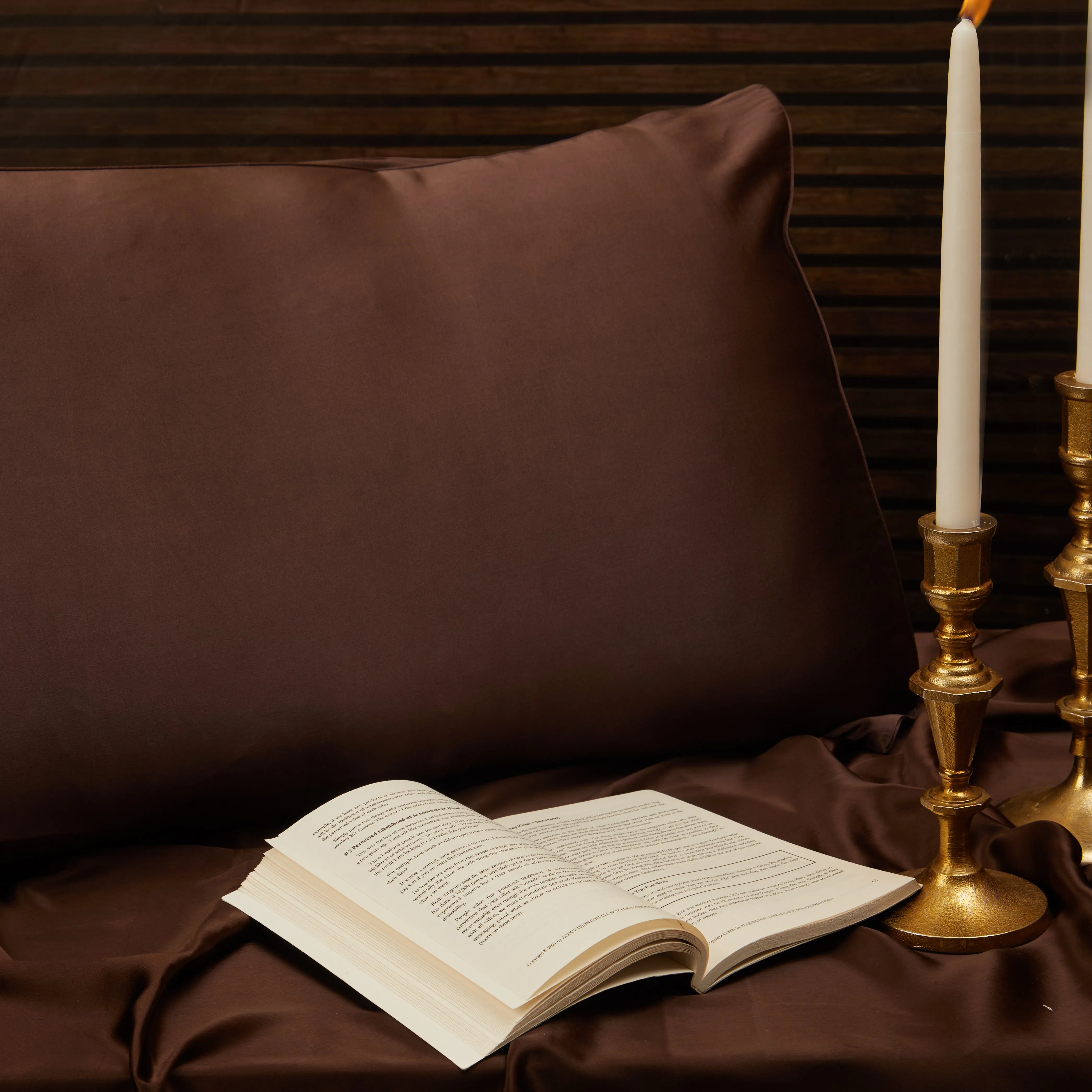 Brown Pure Silk Pillowcase