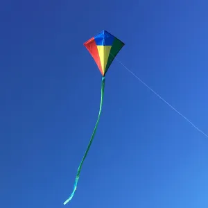 Compact Diamond Kite Red,Blue,Green and Yellow