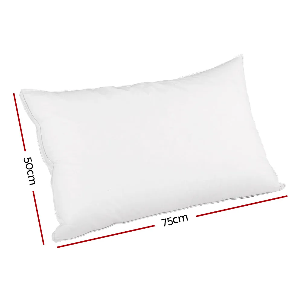 Feather Down Twin Pack Pillow