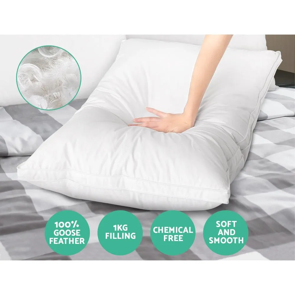 Feather Down Twin Pack Pillow