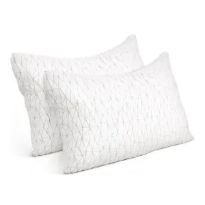 Set of 2 Rayon Single Memory Foam Pillows